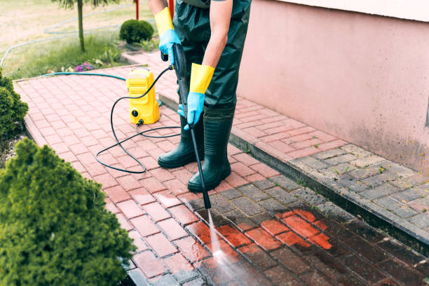 Best Fence Cleaning  in Troy, MO